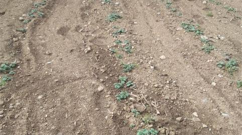 Foto 5 de Finca rústica en venda a Fafiás, 10, Vila de Cruces, Pontevedra