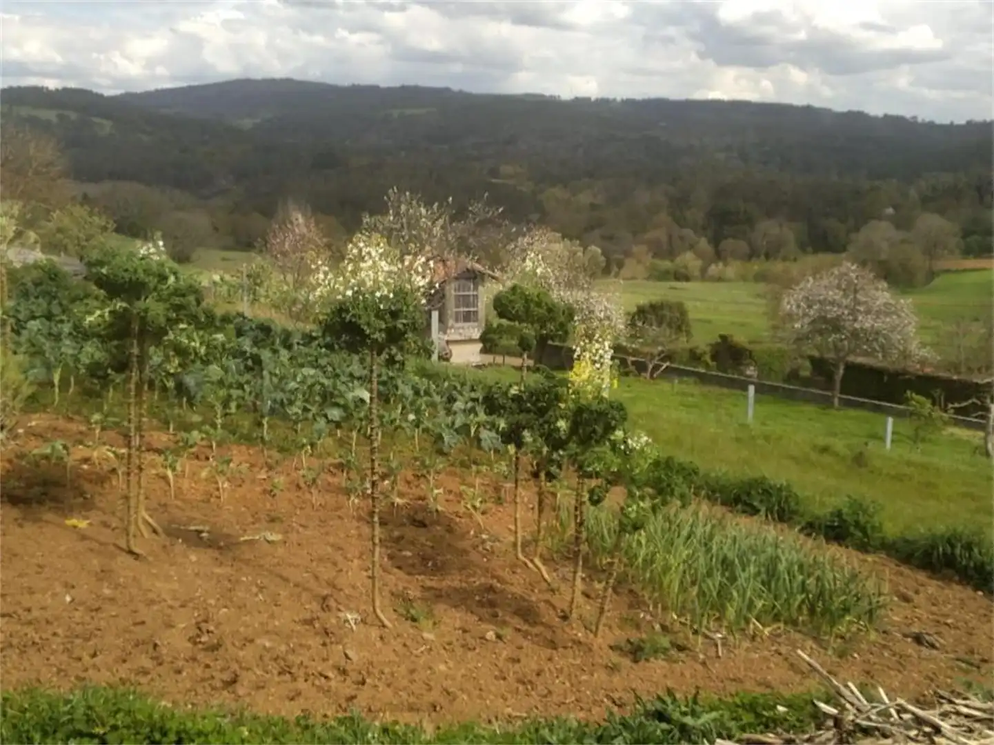 Finca rústica en venta en Fafiás, 10, Vila de Cruces Finca rústica en venta en Vila de Cruces con Jardín privado y Amueblado