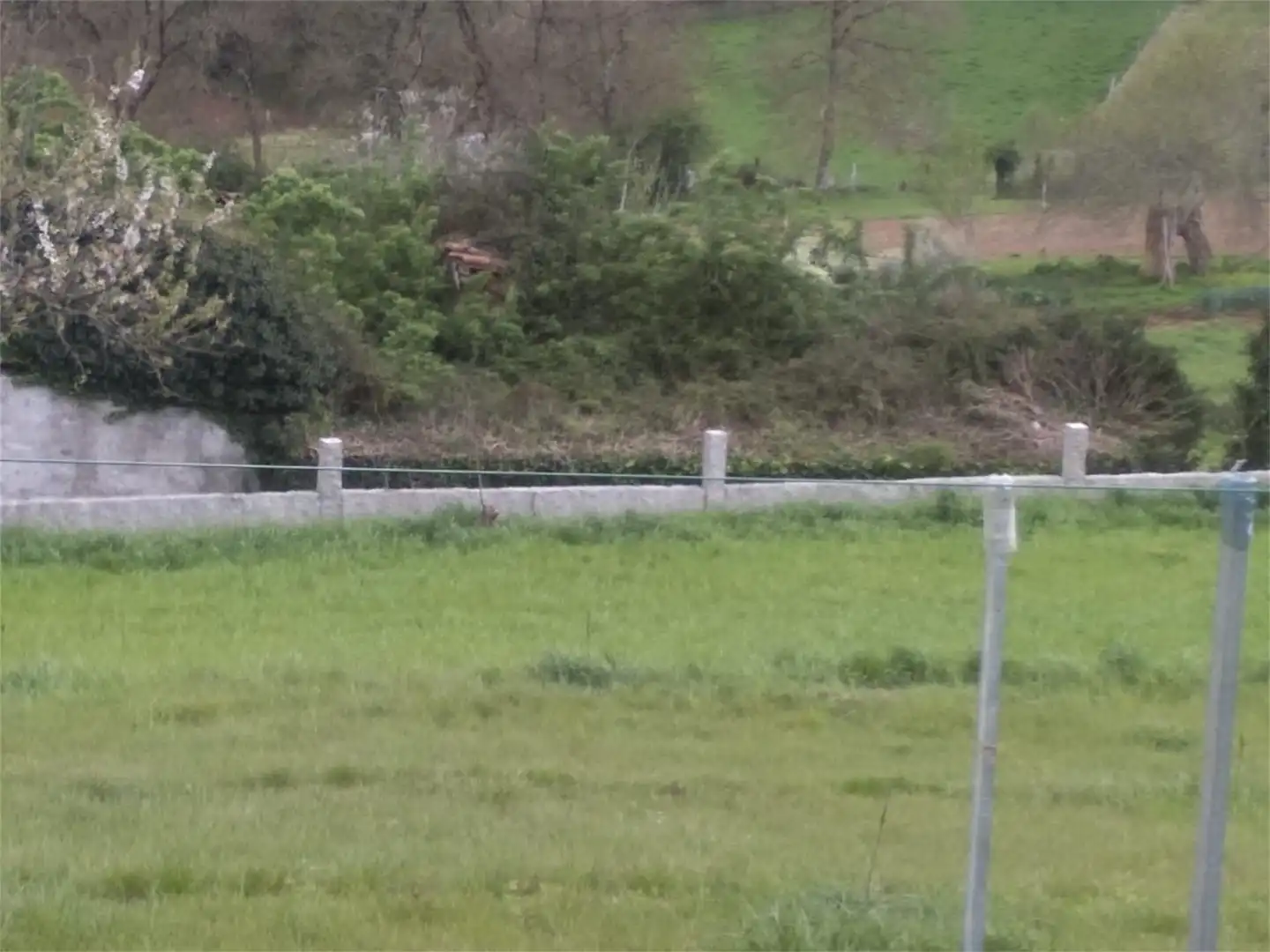 Finca rústica en venta en Fafiás, 10, Vila de Cruces Finca rústica en venta en Vila de Cruces con Jardín privado y Amueblado