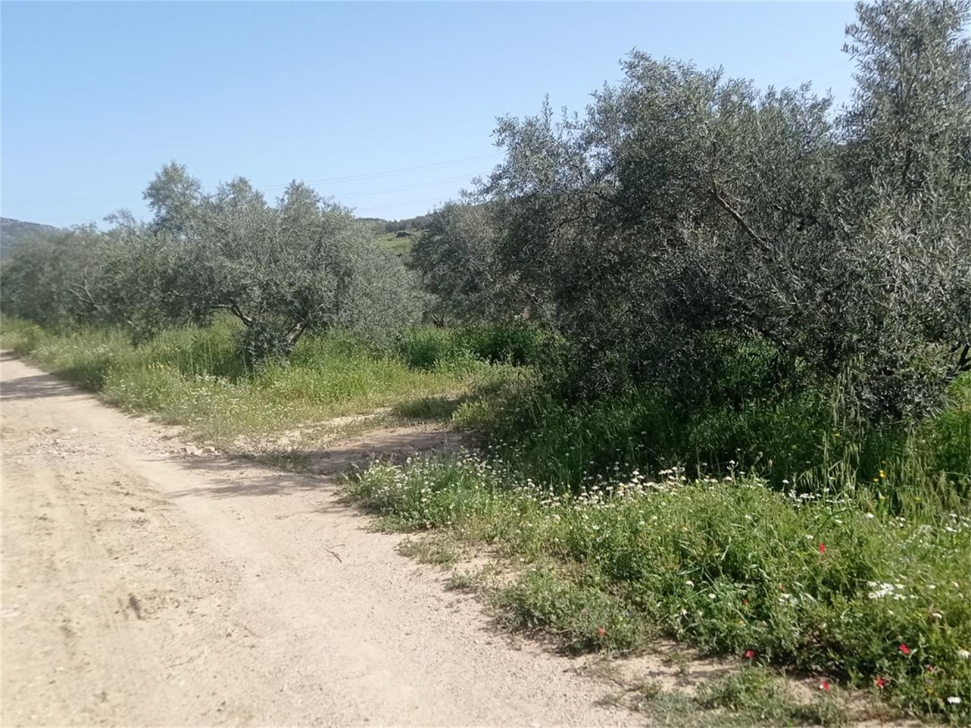 Land for sale in El Burgo