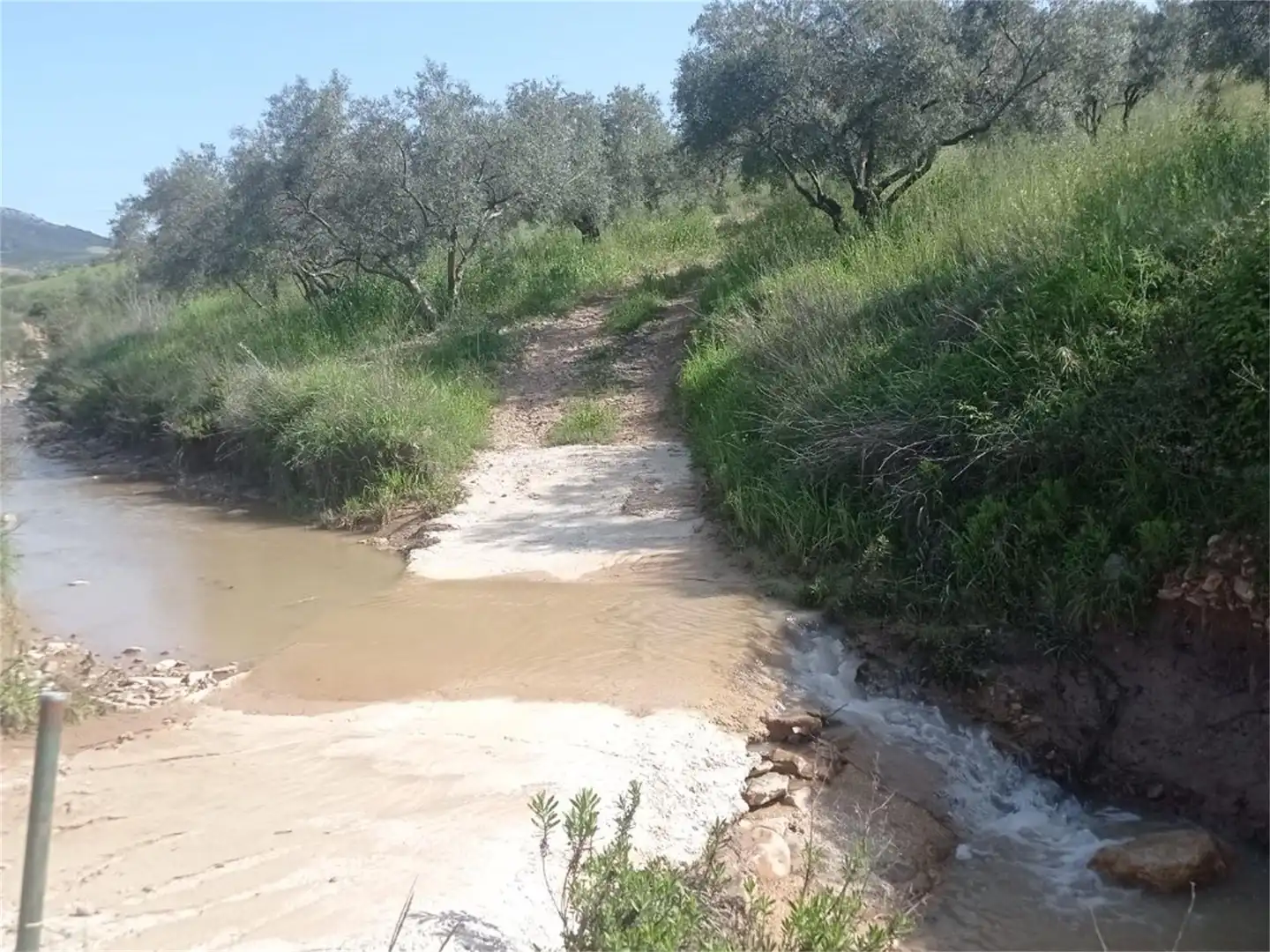 Bebaubares Gelände zum Verkauf in Camino de Teba, El Burgo Außenansicht von Bebaubares Gelände zum Verkauf in El Burgo