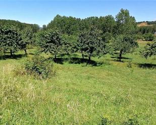 Finca rústica en venda en Torre del Bierzo