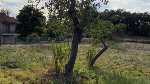 Foto 2 de Casa o chalet en venta en Rúa Sampedro, Celanova, Ourense