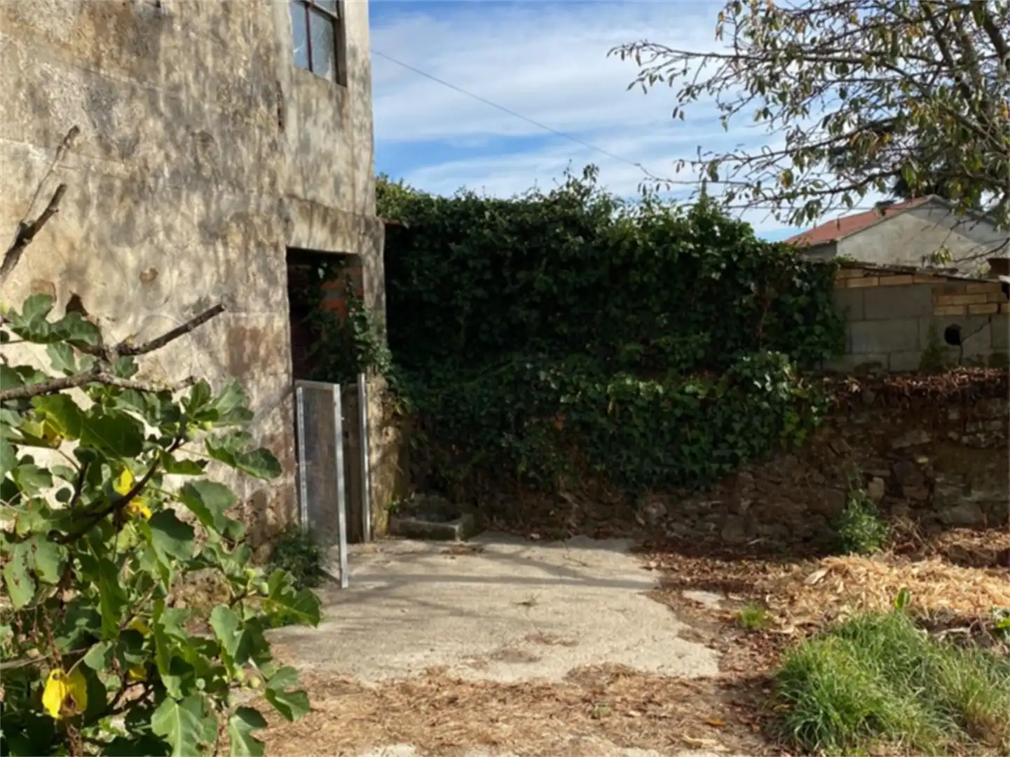 Jardín de Casa o chalet en venta en Celanova