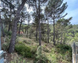 Land for sale in Castellolí