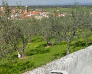 Garten von Grundstücke zum verkauf in Aldeacentenera