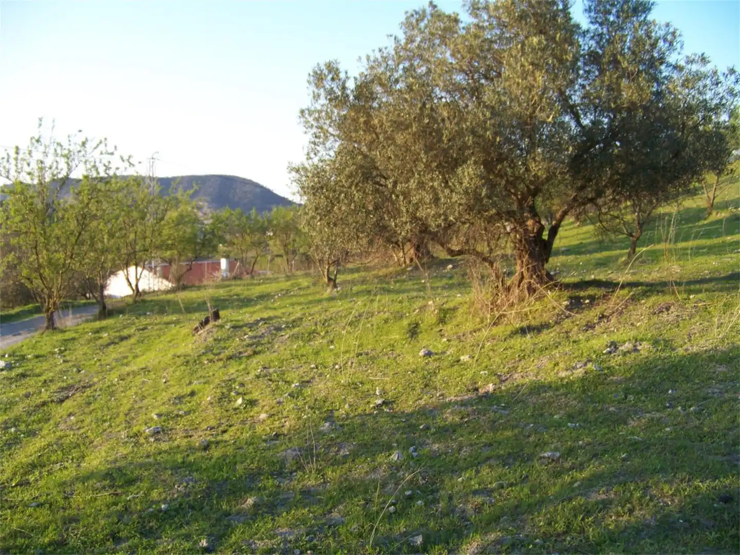 Grundstücke zum Verkauf in Carretera El Chorro, Álora Grundstücke zum Verkauf in Álora