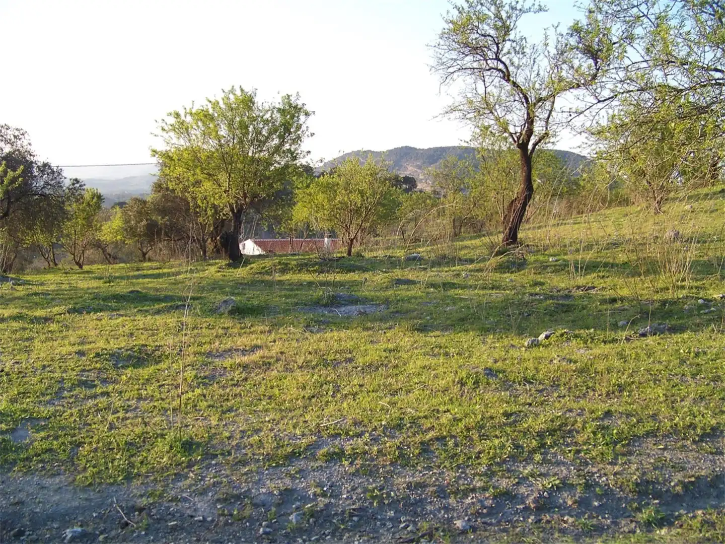 Grundstücke zum Verkauf in Carretera El Chorro, Álora Grundstücke zum Verkauf in Álora