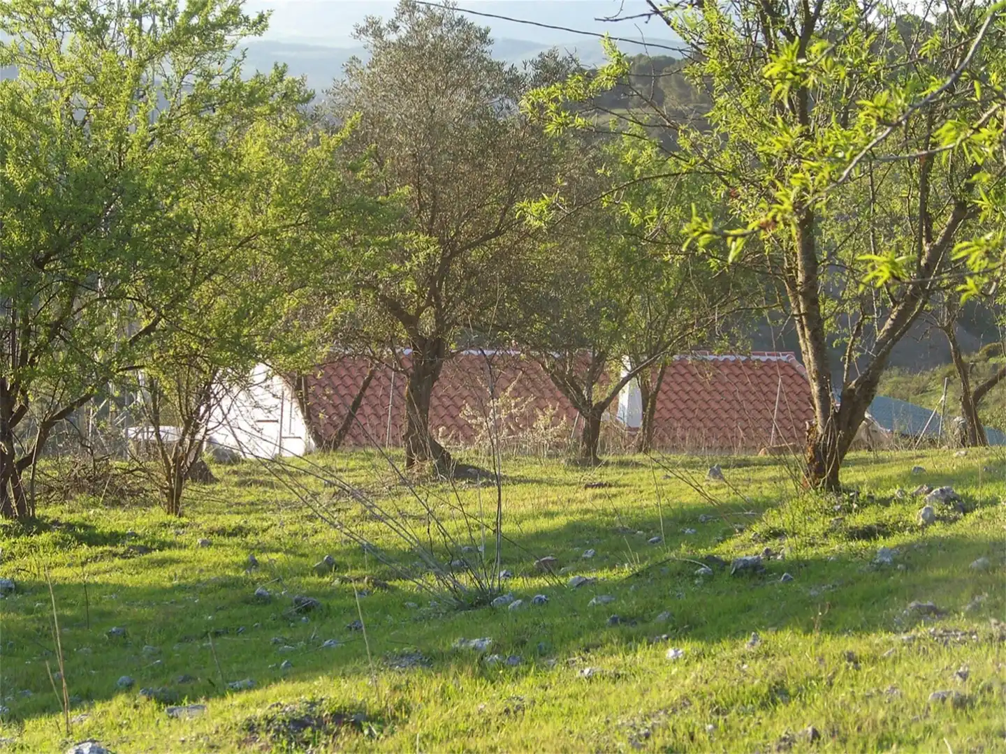 Grundstücke zum Verkauf in Carretera El Chorro, Álora Grundstücke zum Verkauf in Álora