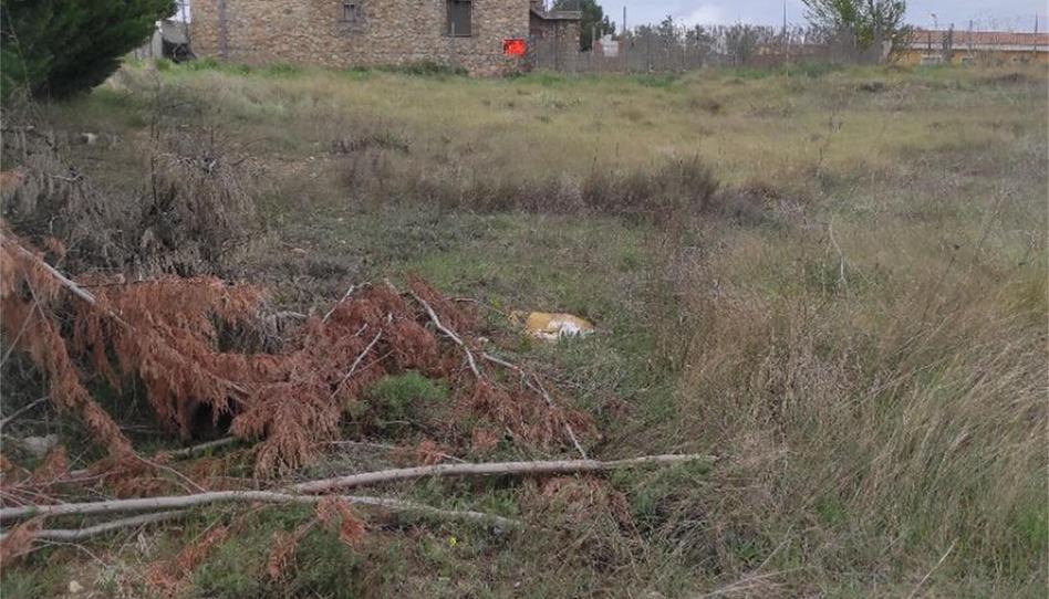 Constructible Land for sale in Trigueros del Valle, Valladolid - image 1 Photo 1 of Constructible Land for sale in Trigueros del Valle, Valladolid