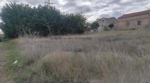 Constructible Land for sale in Trigueros del Valle, Valladolid - image 5 Photo 5 of Constructible Land for sale in Trigueros del Valle, Valladolid