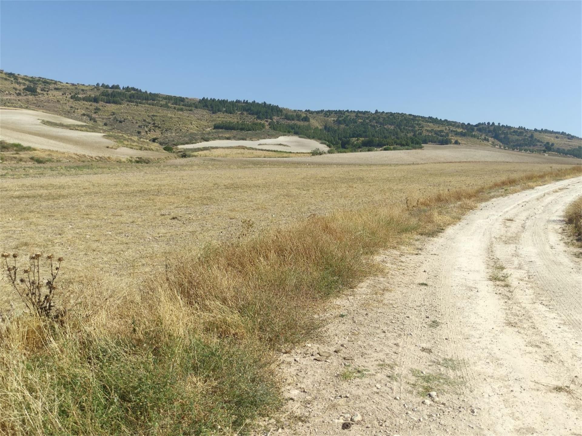 Finca rústica en venda en Barajas de Melo