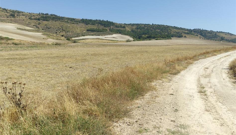 Country house for sale in Barajas de Melo, Cuenca - image 1 Photo 1 of Country house for sale in Barajas de Melo, Cuenca