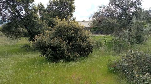 Foto 3 de Terreno en venta en Calle Puerto de la Cruz Verde, 10, Puerto de Galapagar - Las Cuestas, Galapagar