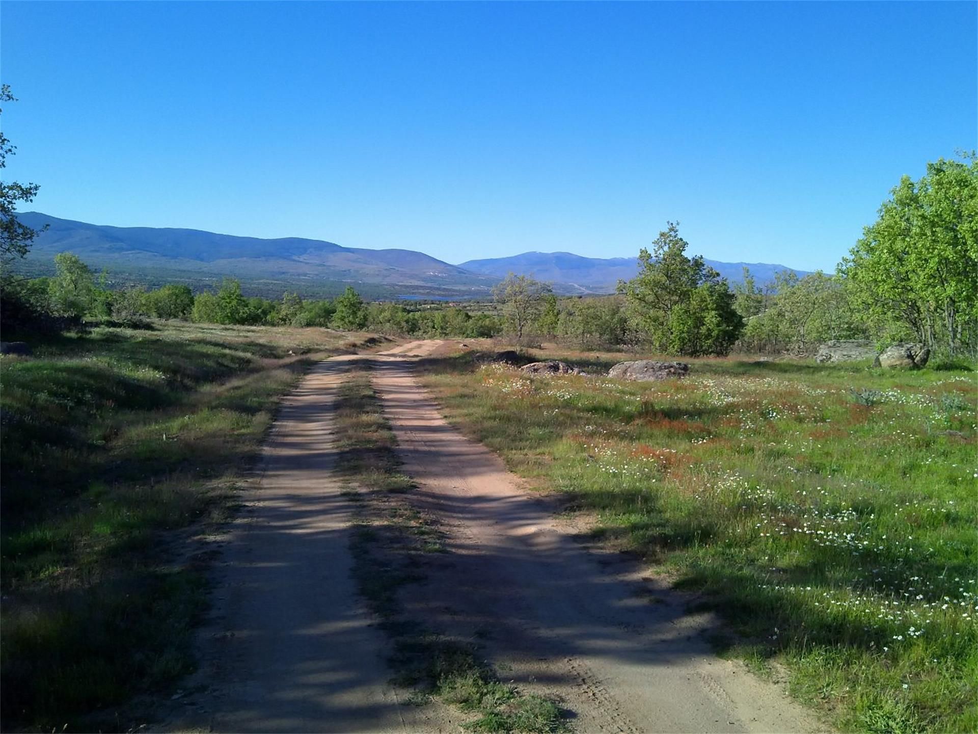 Exterior view of House or chalet for sale in Garganta de los Montes