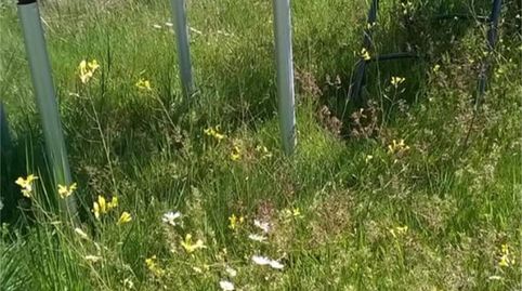 Foto 5 von Haus oder Chalet zum Verkauf in Carretera de Rascafría, Garganta de los Montes, Madrid