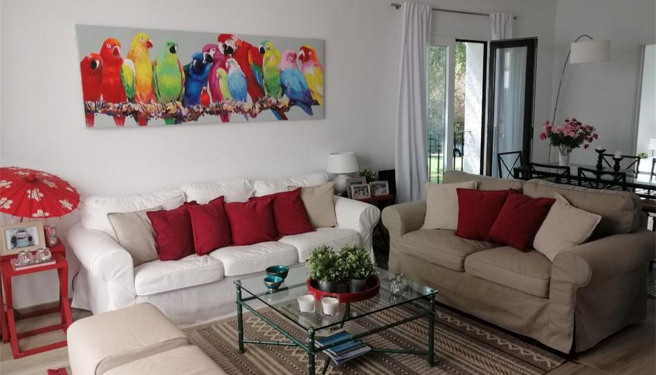 Photo 1 of Apartment to rent in Sotogrande Alto, Cádiz