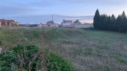 Finca rústica en venta en Calle de Los Almendros, 18, Yeles, Toledo - imagen 4 Foto 4 de Finca rústica en venta en Calle de Los Almendros, 18, Yeles, Toledo