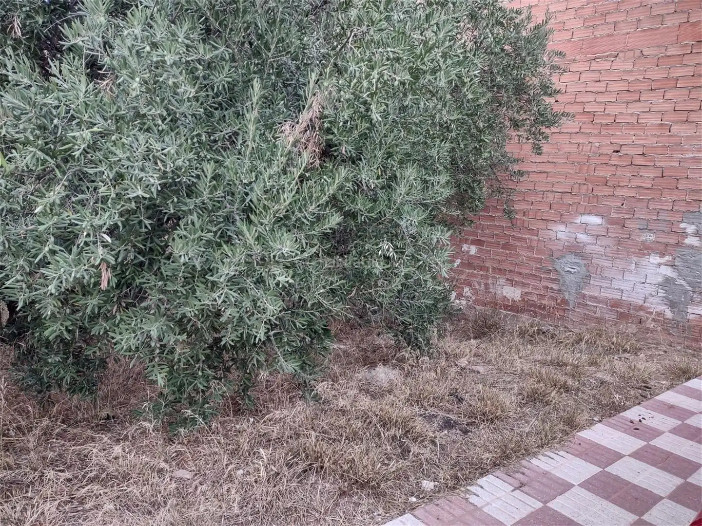 Garten von Bebaubares Gelände zum Verkauf in La Puerta de Segura