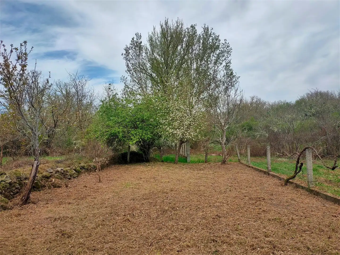 Finca rústica en venda a Bizcaia, Sober Finca rústica en venda en Sober amb Jardí privat