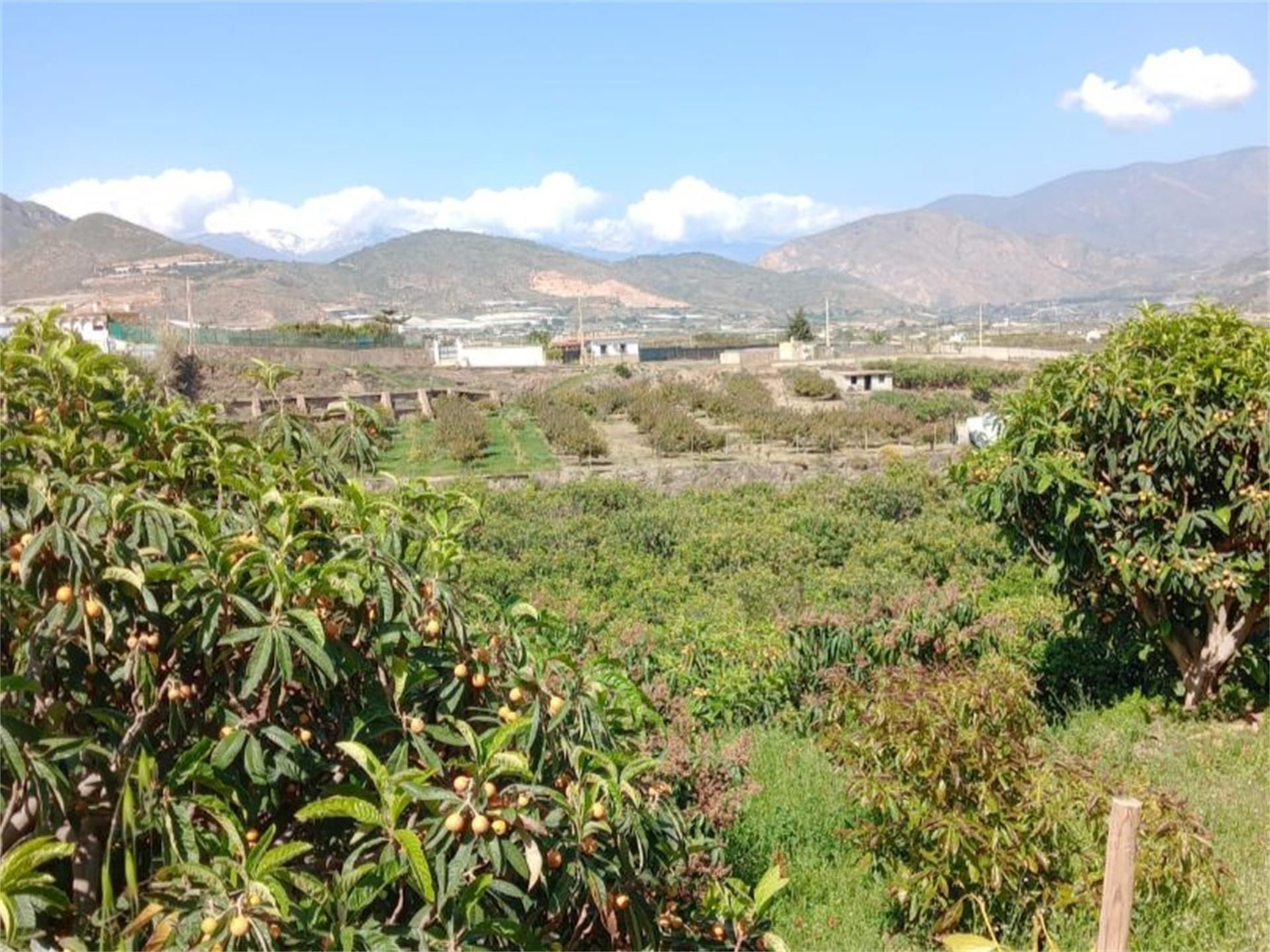 Finca rústica en venda en Salobreña