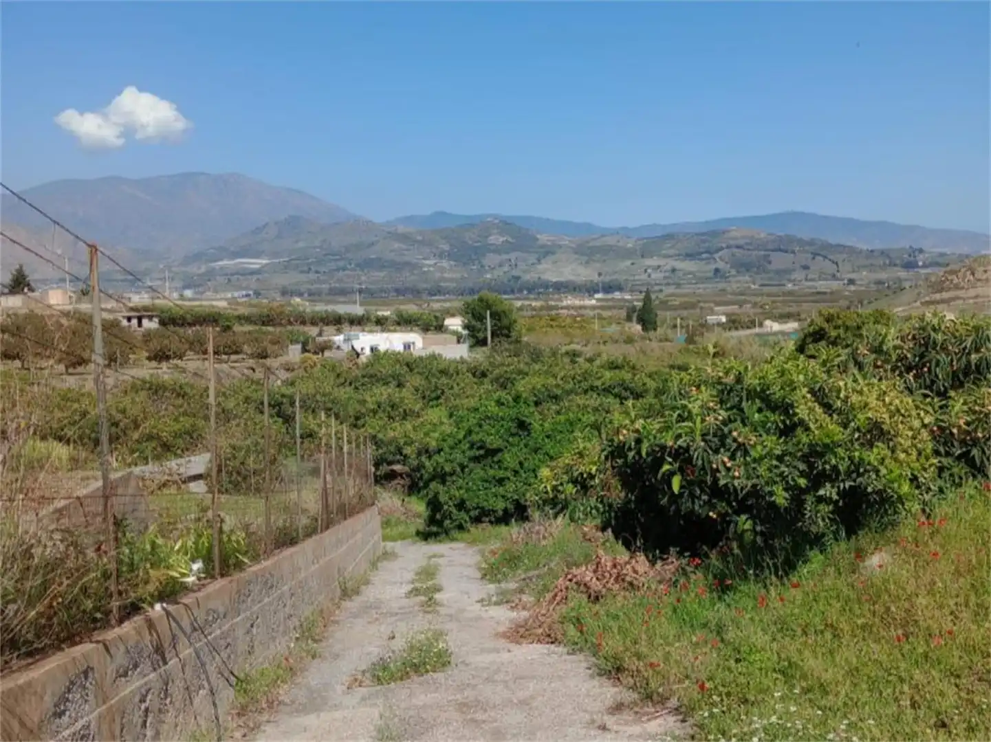 Finca rústica en venda a Camino del Cementerio, Centro Finca rústica en venda en Salobreña