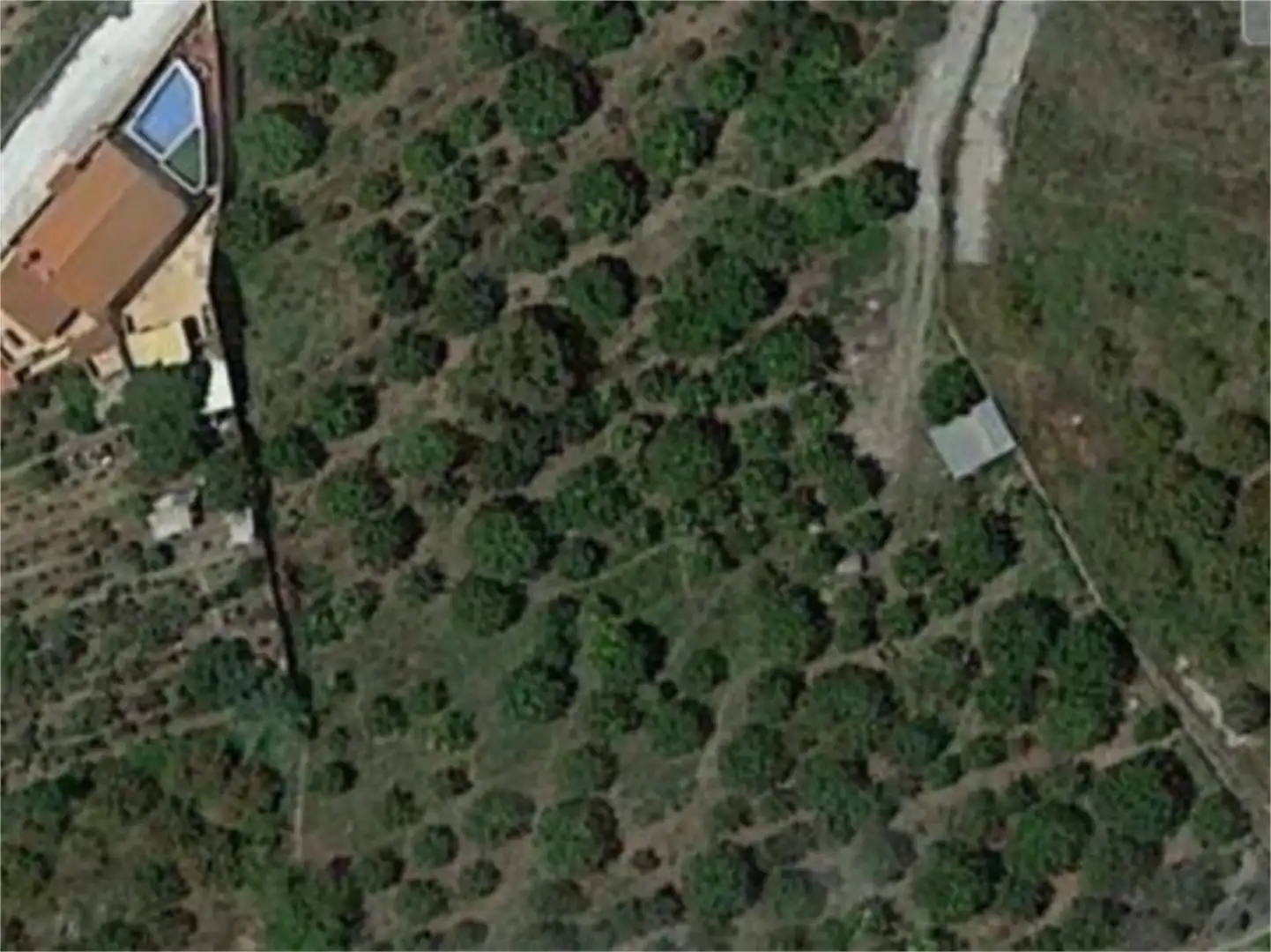Finca rústica en venda a Camino del Cementerio, Centro Finca rústica en venda en Salobreña