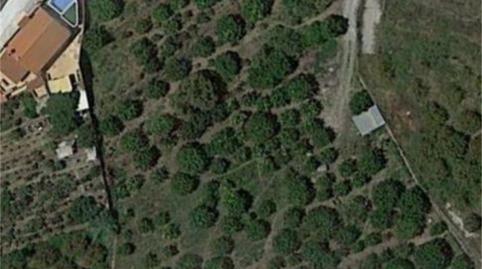 Foto 4 de Finca rústica en venda a Camino del Cementerio, Centro, Granada