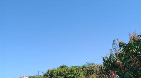 Foto 5 de Finca rústica en venda a Camino del Cementerio, Centro, Granada