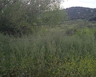 Terreny en venda en Ciudad Real Capital