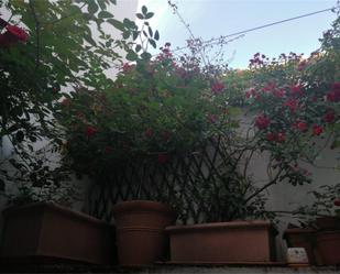 Garden of Apartment for sale in  Córdoba Capital  with Air Conditioner