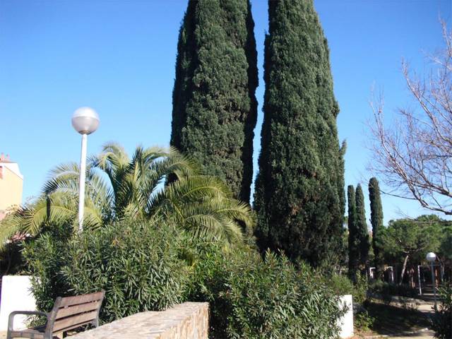 Piso en Venta en Carrer de Berlín, 18 en Platja de Llevant