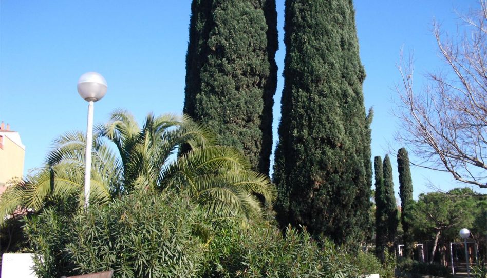 Piso en venta en Calle Carrer de Berlín, 18, Platja de Llevant, Salou - imagen 1 Foto 1 de Piso en venta en Calle Carrer de Berlín, 18, Platja de Llevant, Salou