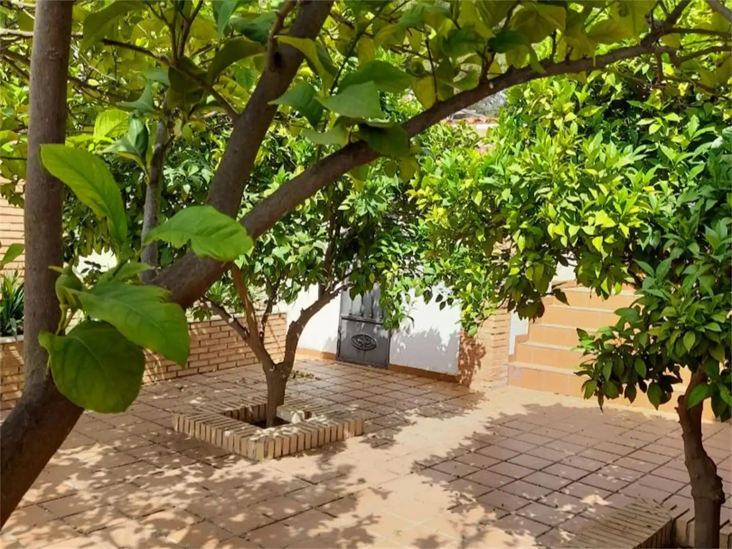 Casa o chalet en venta en Calle Gimnasta Joaquín Blume, 7, Puente Genil Jardín de Casa o chalet en venta en Puente Genil con Aire acondicionado y Piscina