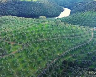 Finca rústica en venda en Peñaflor