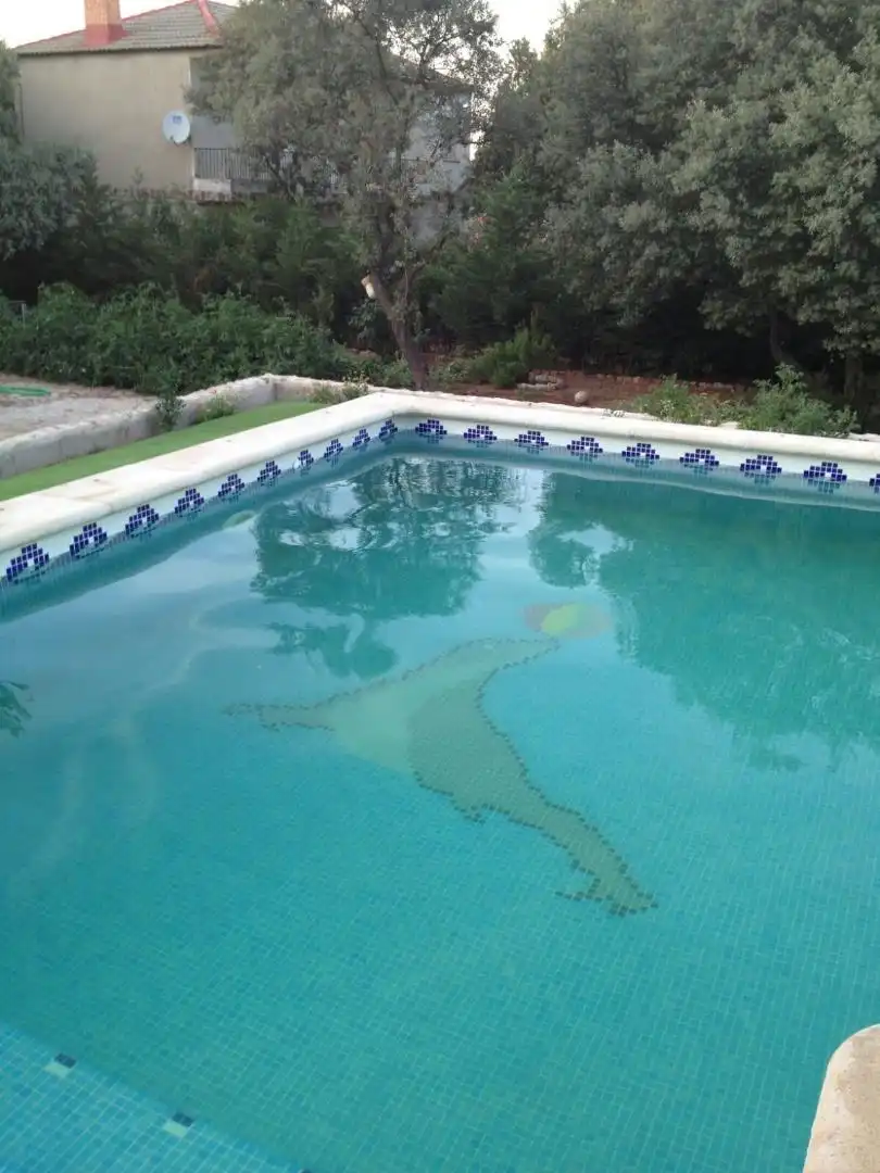 Piscina de Casa o chalet de alquiler en Almagro con Aire acondicionado, Jardín privado y Terraza