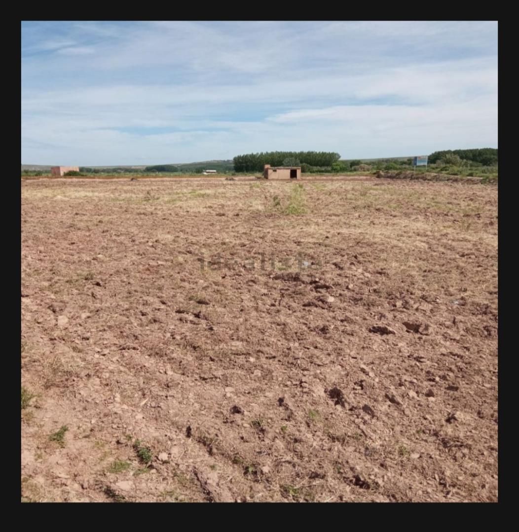 Non-constructible Land for sale in Calahorra