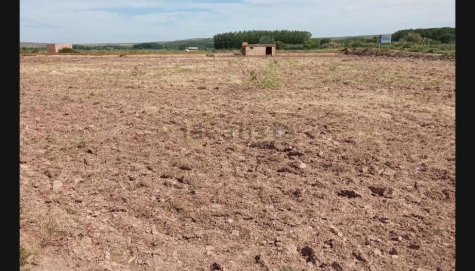 Photo 1 of Non-constructible Land for sale in Camino de Alcanadre, Calahorra, La Rioja