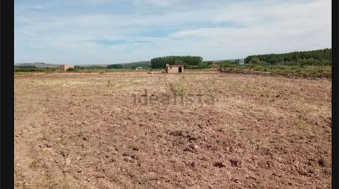 Photo 2 of Non-constructible Land for sale in Camino de Alcanadre, Calahorra, La Rioja