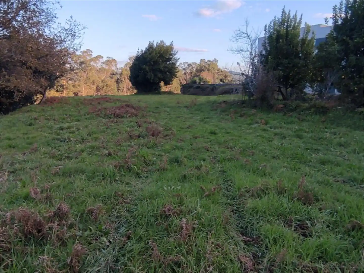 Finca rústica en venta en Paderne, Tui Finca rústica en venta en Tui