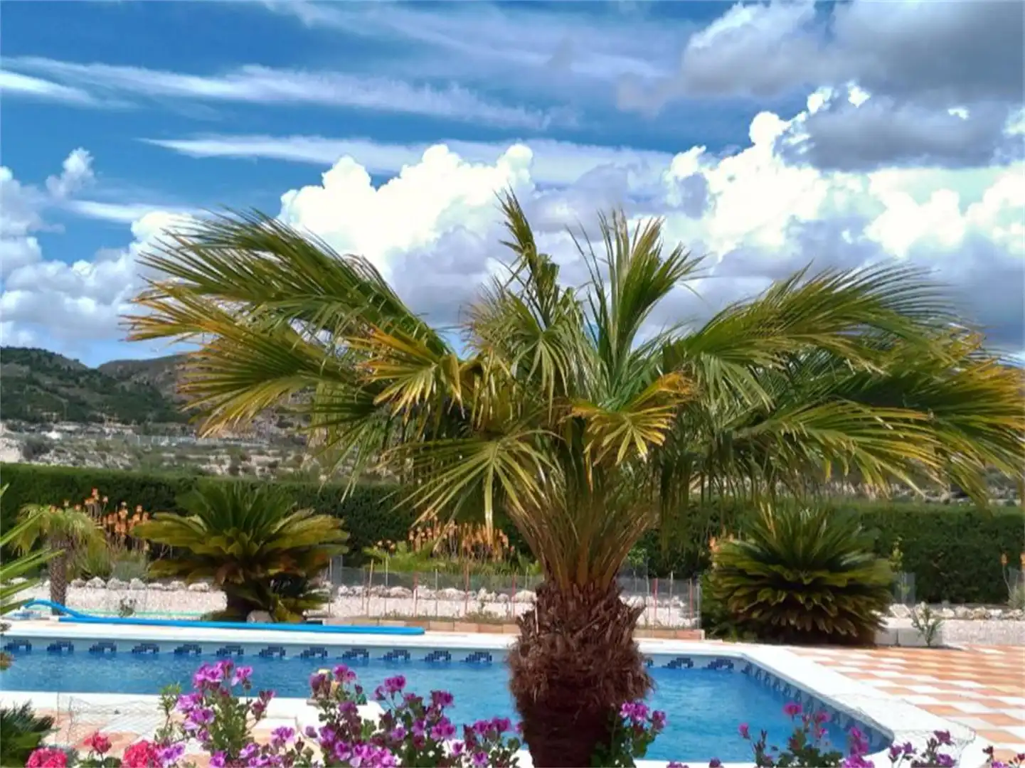Garten von Wohnung zum Verkauf in Fortuna mit Privatgarten, Terrasse und Abstellraum