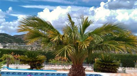 Photo 4 of Flat for sale in Rm-a17, Fortuna, Murcia