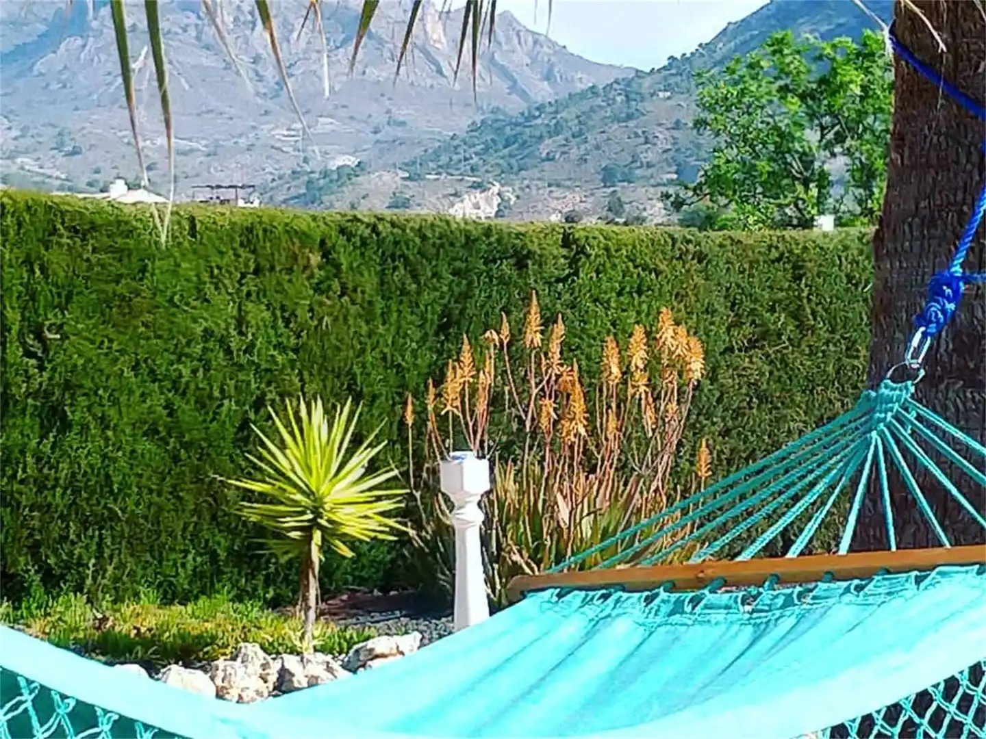 Garten von Wohnung zum Verkauf in Fortuna mit Privatgarten, Terrasse und Abstellraum