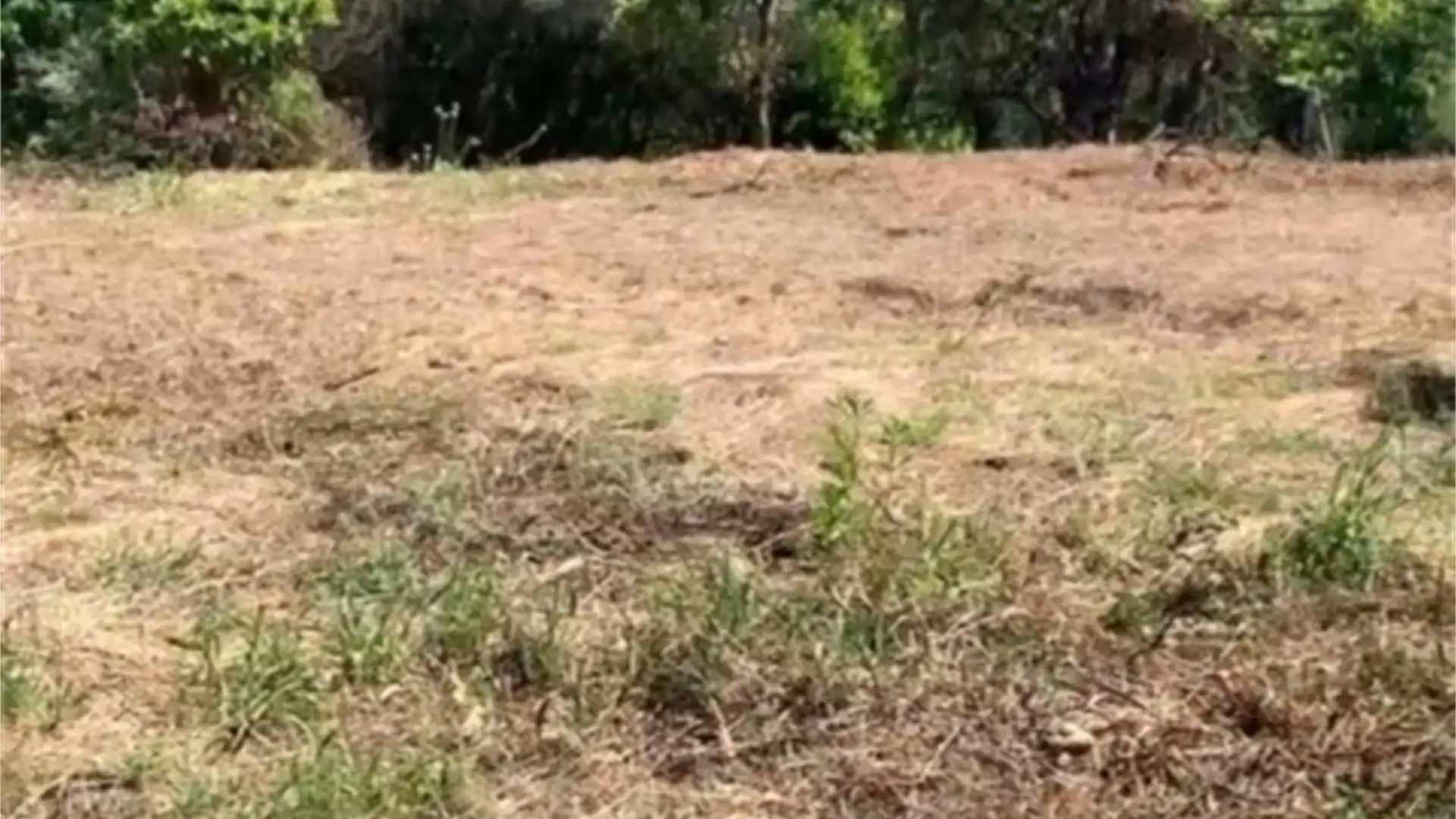 Terreno en venta en Ojén