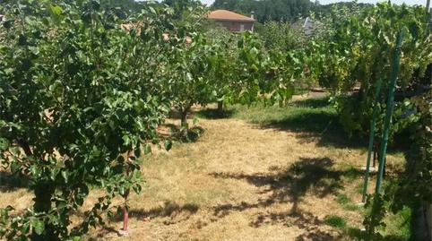 House or chalet for sale in Alija del Infantado, León - image 5 Photo 5 of House or chalet for sale in Alija del Infantado, León