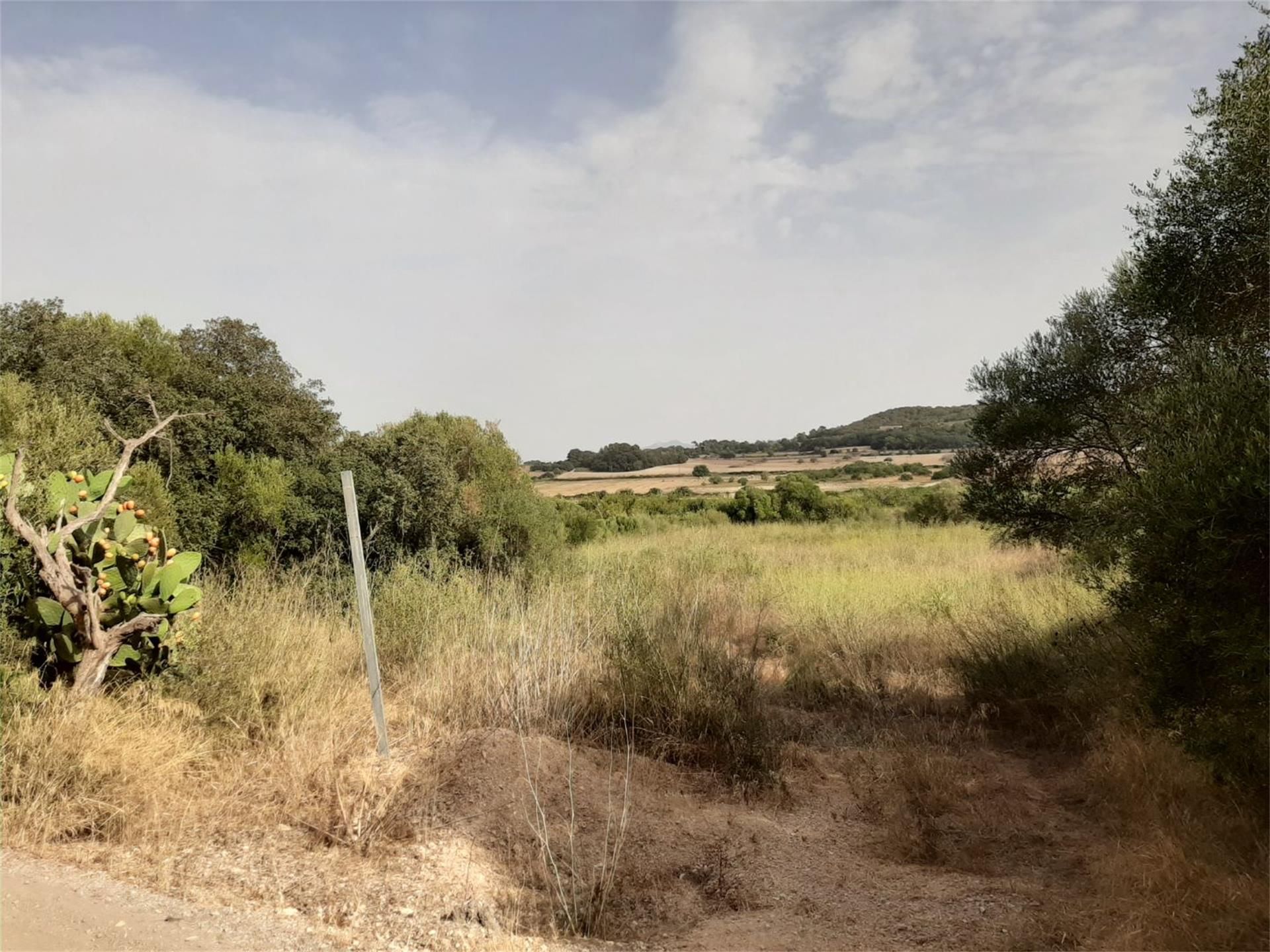 Finca rústica en venda en Porreres