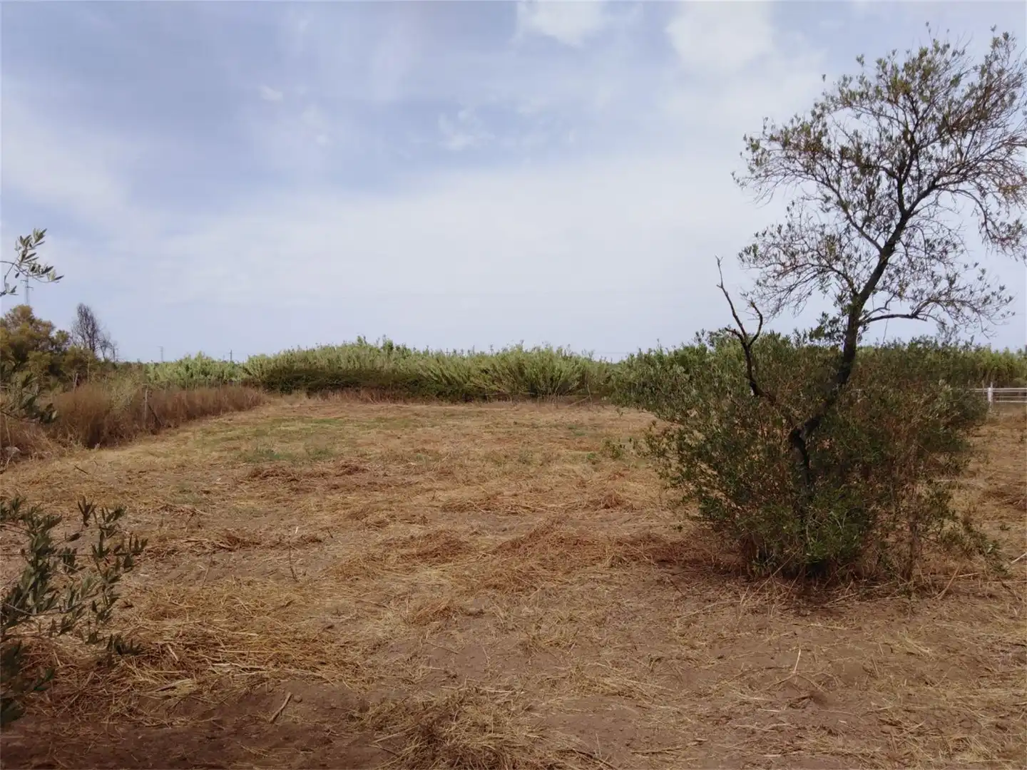 Finca rústica en venda en Villamanrique de la Condesa