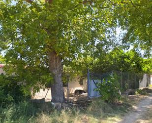 Garden of Non-constructible Land for sale in Morata de Tajuña