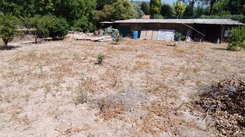 No Urbanizable en venta en Camino de Matalauva, Morata de Tajuña, Madrid - imagen 4 Foto 4 de No Urbanizable en venta en Camino de Matalauva, Morata de Tajuña, Madrid