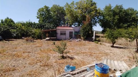 No Urbanizable en venta en Camino de Matalauva, Morata de Tajuña, Madrid - imagen 5 Foto 5 de No Urbanizable en venta en Camino de Matalauva, Morata de Tajuña, Madrid